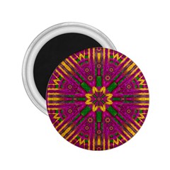 Feather Stars Mandala Pop Art 2 25  Magnets by pepitasart