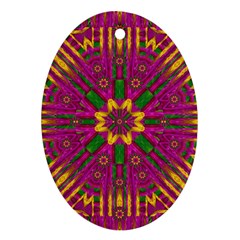 Feather Stars Mandala Pop Art Oval Ornament (two Sides) by pepitasart