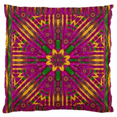 Feather Stars Mandala Pop Art Standard Flano Cushion Case (two Sides)