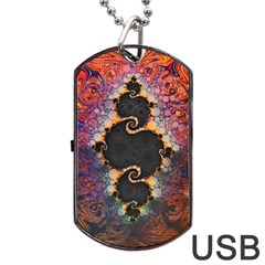 The Eye Of Julia, A Rainbow Fractal Paint Swirl Dog Tag Usb Flash (one Side) by jayaprime