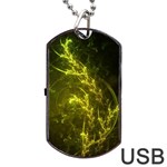 Beautiful Emerald Fairy Ferns in a Fractal Forest Dog Tag USB Flash (One Side) Front