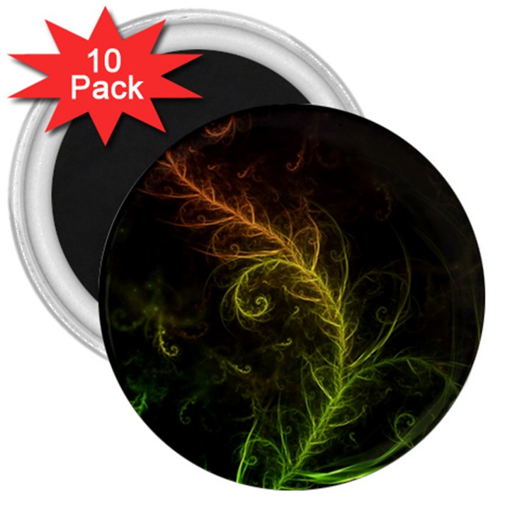 Fractal Hybrid Of Guzmania Tuti Fruitti and Ferns 3  Magnets (10 pack) 