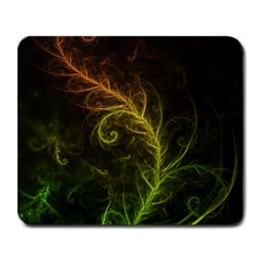 Fractal Hybrid Of Guzmania Tuti Fruitti And Ferns Large Mousepads by jayaprime