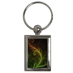 Fractal Hybrid Of Guzmania Tuti Fruitti And Ferns Key Chains (rectangle)  by jayaprime