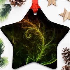 Fractal Hybrid Of Guzmania Tuti Fruitti And Ferns Star Ornament (two Sides) by jayaprime