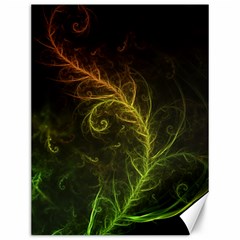 Fractal Hybrid Of Guzmania Tuti Fruitti And Ferns Canvas 12  X 16   by jayaprime