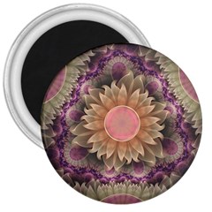 Pastel Pearl Lotus Garden Of Fractal Dahlia Flowers 3  Magnets by jayaprime