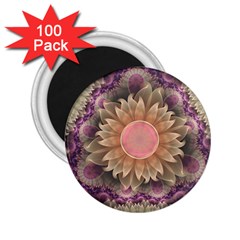 Pastel Pearl Lotus Garden Of Fractal Dahlia Flowers 2 25  Magnets (100 Pack)  by jayaprime