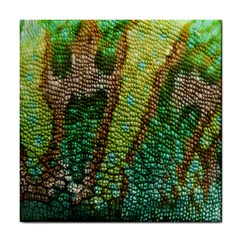 Chameleon Skin Texture Tile Coasters by BangZart