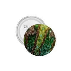 Chameleon Skin Texture 1 75  Buttons by BangZart