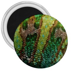 Chameleon Skin Texture 3  Magnets by BangZart