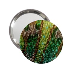 Chameleon Skin Texture 2 25  Handbag Mirrors by BangZart