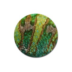 Chameleon Skin Texture Magnet 3  (round) by BangZart