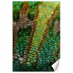 Chameleon Skin Texture Canvas 20  X 30   by BangZart