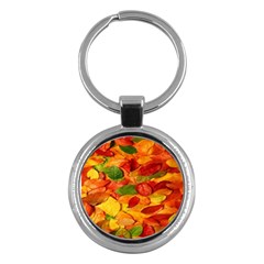 Leaves Texture Key Chains (round)  by BangZart