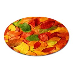 Leaves Texture Oval Magnet by BangZart