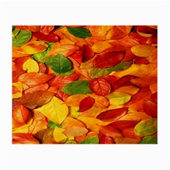 Leaves Texture Small Glasses Cloth by BangZart