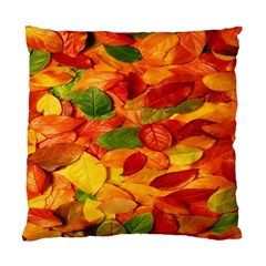 Leaves Texture Standard Cushion Case (two Sides) by BangZart