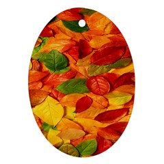 Leaves Texture Oval Ornament (two Sides) by BangZart