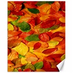 Leaves Texture Canvas 16  x 20   15.75 x19.29  Canvas - 1