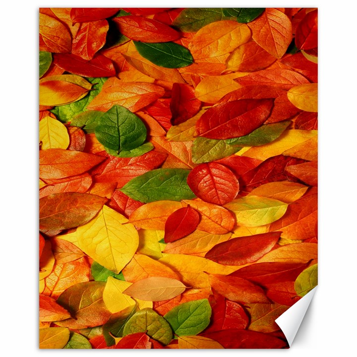 Leaves Texture Canvas 16  x 20  