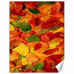 Leaves Texture Canvas 18  X 24   by BangZart