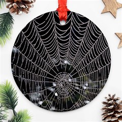 Spider Web Wallpaper 14 Ornament (round) by BangZart