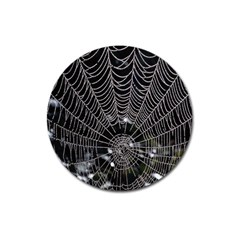 Spider Web Wallpaper 14 Magnet 3  (round) by BangZart