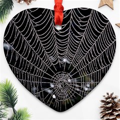 Spider Web Wallpaper 14 Heart Ornament (two Sides) by BangZart