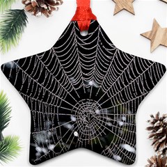 Spider Web Wallpaper 14 Star Ornament (two Sides) by BangZart