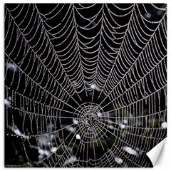 Spider Web Wallpaper 14 Canvas 12  X 12   by BangZart