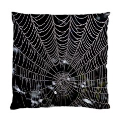 Spider Web Wallpaper 14 Standard Cushion Case (two Sides) by BangZart