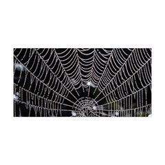 Spider Web Wallpaper 14 Yoga Headband by BangZart