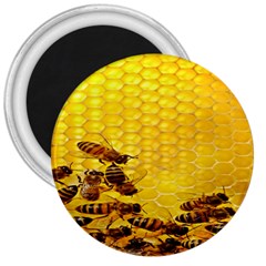 Sweden Honey 3  Magnets by BangZart