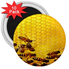 Sweden Honey 3  Magnets (10 Pack)  by BangZart