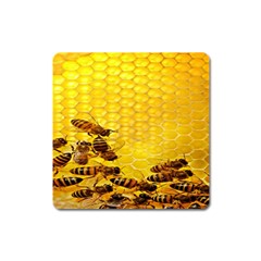 Sweden Honey Square Magnet by BangZart