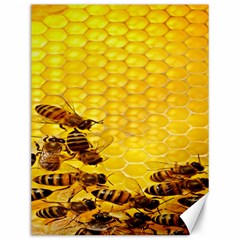 Sweden Honey Canvas 12  X 16   by BangZart