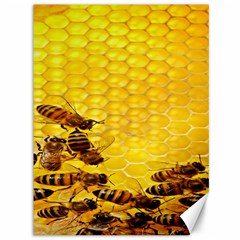 Sweden Honey Canvas 36  X 48   by BangZart