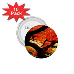 Maple Tree Nice 1 75  Buttons (10 Pack) by BangZart