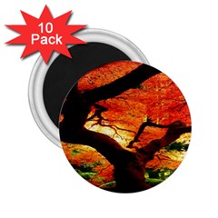 Maple Tree Nice 2 25  Magnets (10 Pack)  by BangZart