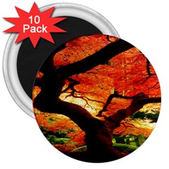 Maple Tree Nice 3  Magnets (10 Pack)  by BangZart