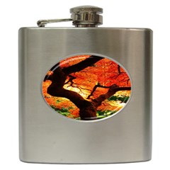 Maple Tree Nice Hip Flask (6 Oz) by BangZart