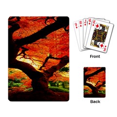 Maple Tree Nice Playing Card by BangZart