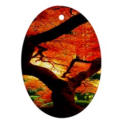 Maple Tree Nice Oval Ornament (two Sides) by BangZart