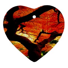 Maple Tree Nice Heart Ornament (two Sides) by BangZart