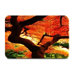 Maple Tree Nice Plate Mats by BangZart