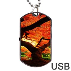 Maple Tree Nice Dog Tag Usb Flash (one Side) by BangZart