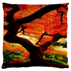 Maple Tree Nice Large Cushion Case (one Side) by BangZart