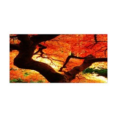 Maple Tree Nice Yoga Headband by BangZart