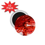 Nice Rose With Water 1.75  Magnets (10 pack)  Front